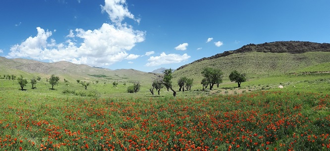 اقتصادگردان