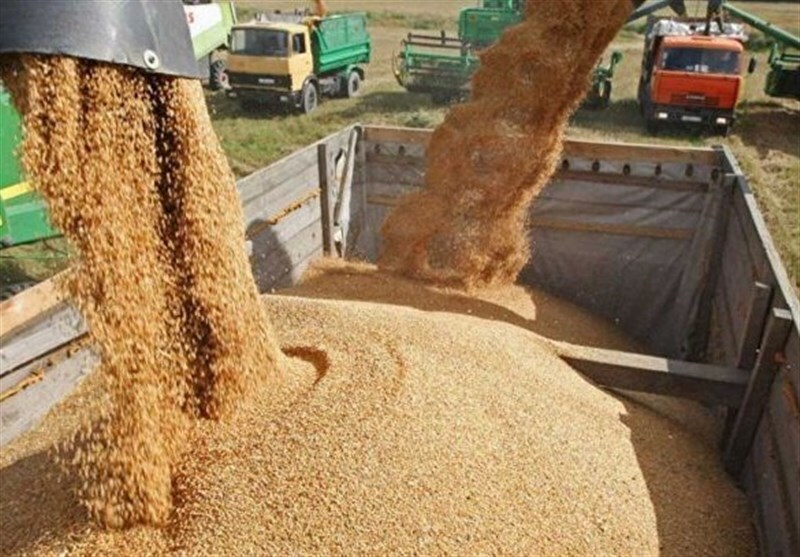 امنیت غذایی یا امنیت رانت؟ امنیت غذایی یا امنیت رانت؟