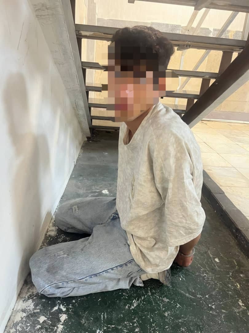دستگیری اعضای باند سارقان منازل در حوزه استحفاظی کلانتری ۱۴۵ ونک / توصیه‌های مهم پلیس به شهروندان برای پیشگیری از سرقت منزل